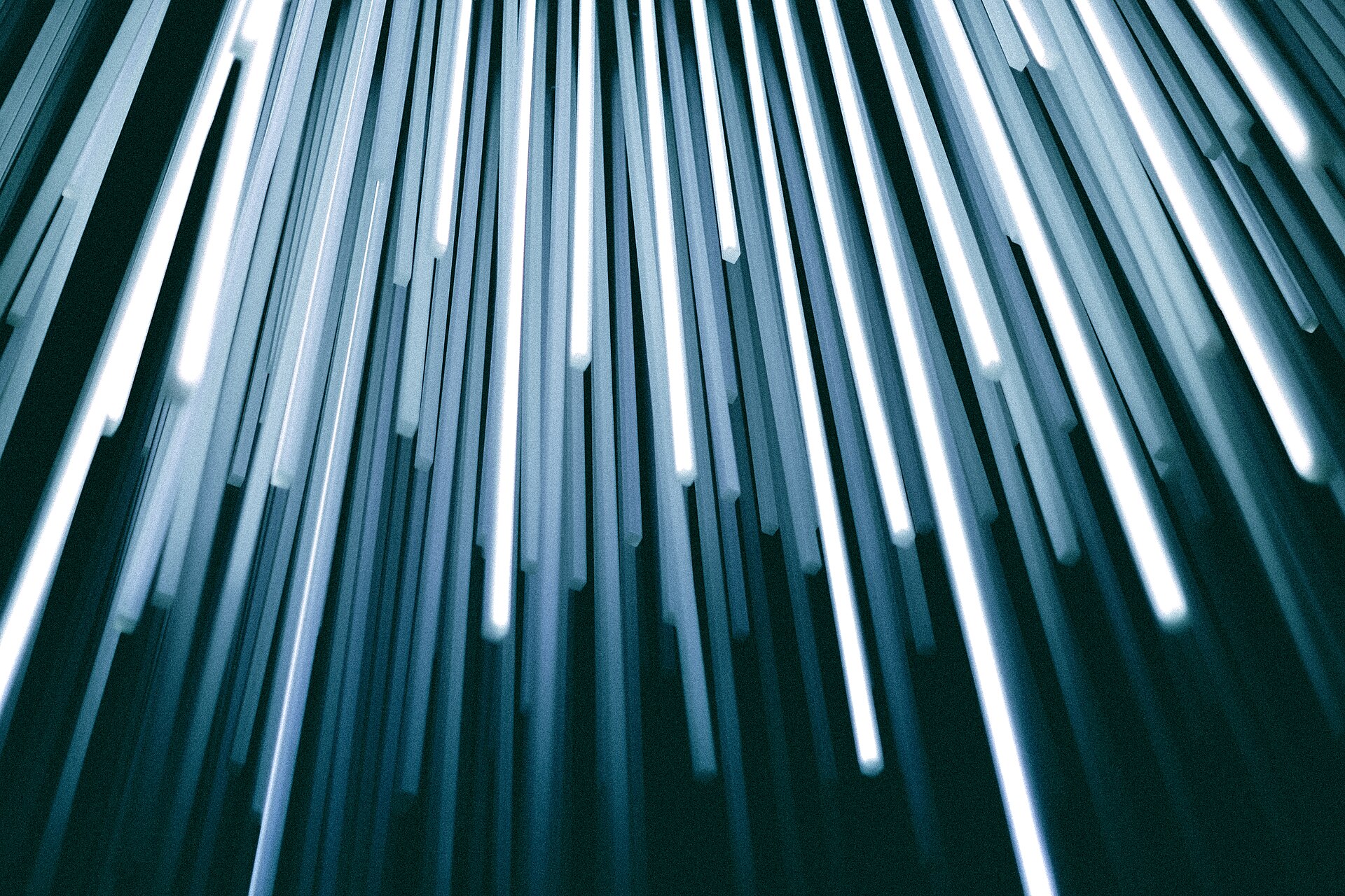 Cool white illuminated strands against a dark teal background